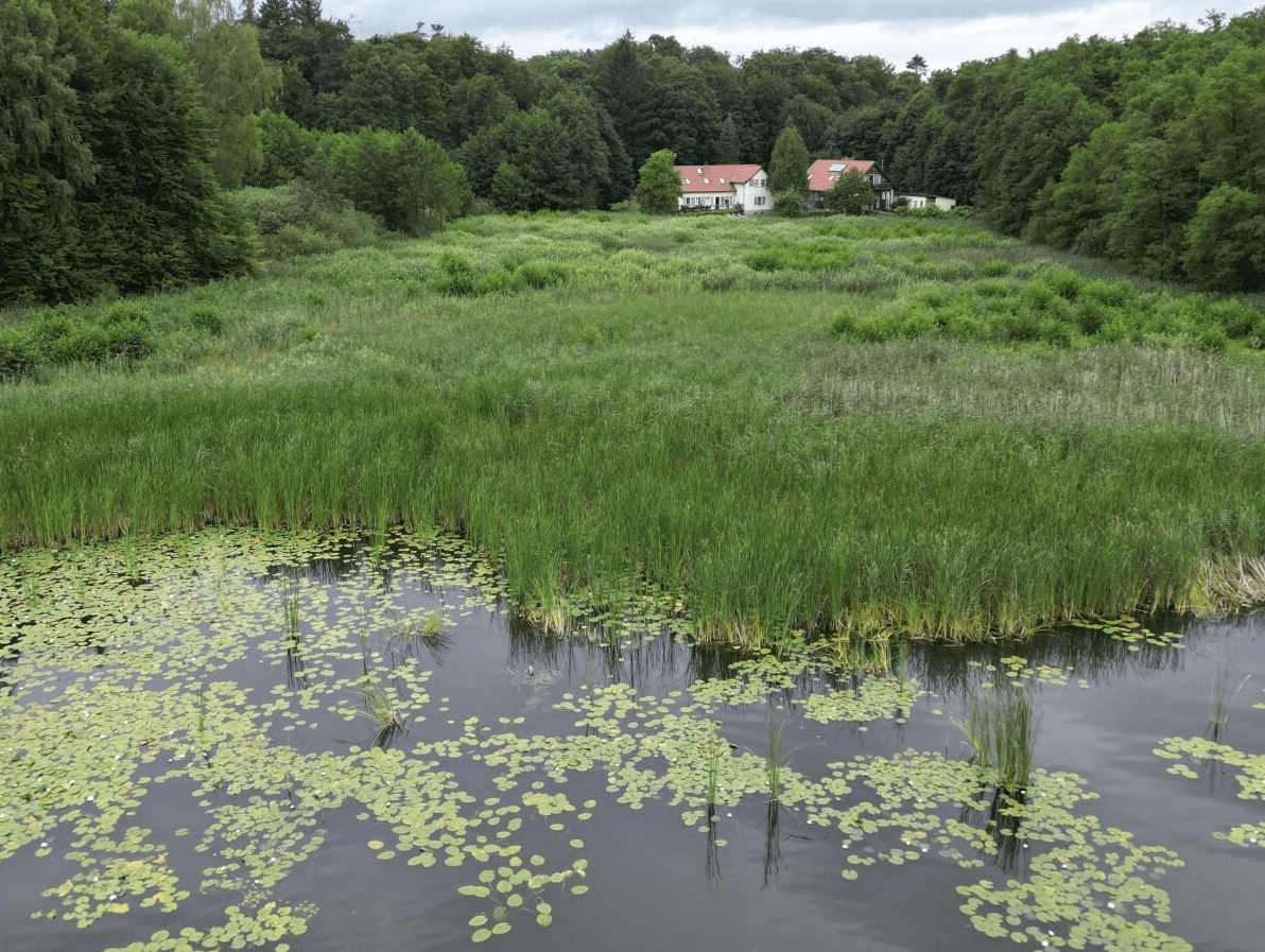 Ferienwohnung 1 Halali – Bild 4